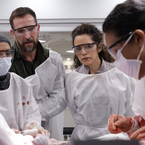 Noah Wyle hodnotí dopad lékařských seriálů