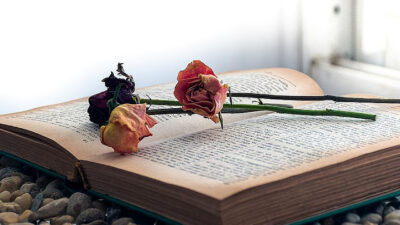 KNIHOMOLSKÉ OKÉNKO, aneb spisovatelé a básníci narozeni 28. dubna