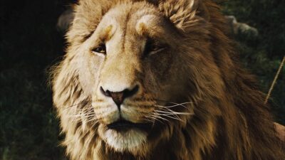 Rok 2005 v kině: magická Narnia, čarovný Harry a nezapomenutelné postavy