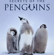 TAJEMSTVÍ TUČŇÁKŮ