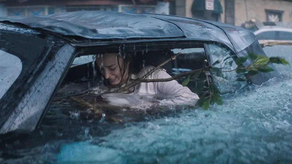 Žraločí smršť Žraločí smršť