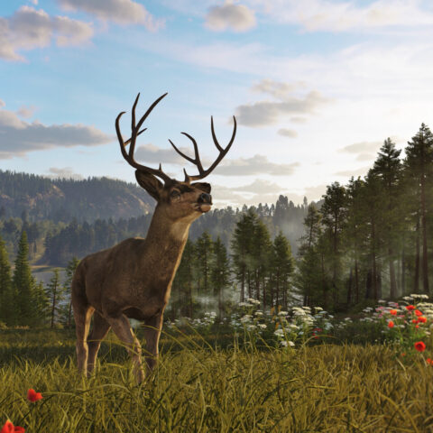 Oficiální roadmapa pro Way of the Hunter 2 přináší dlouhodobou vizi a plány vývoje