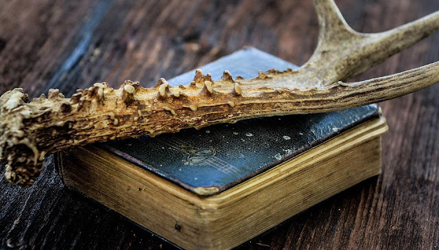KNIHOMOLSKÉ OKÉNKO, aneb spisovatelé a básníci narozeni 13. června 1306