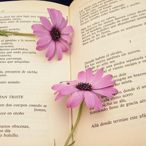 KNIHOMOLSKÉ OKÉNKO, aneb spisovatelé a básníci narozeni 14 . května