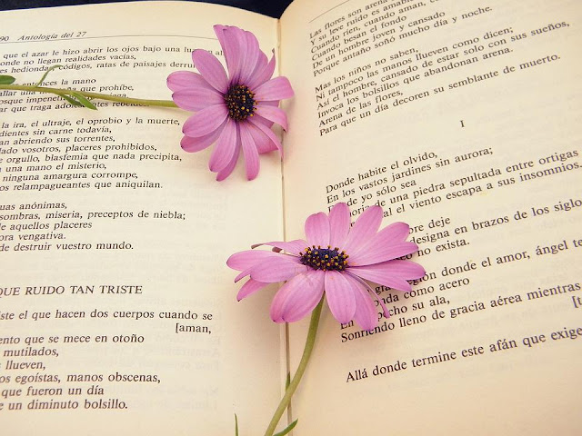 KNIHOMOLSKÉ OKÉNKO, aneb spisovatelé a básníci narozeni 14 . května 1405