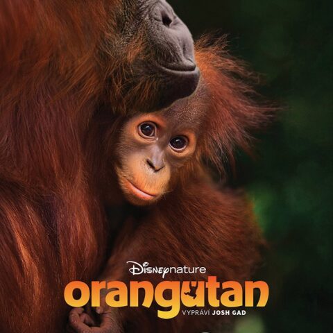 ORANGUTAN