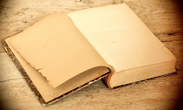 KNIHOMOLSKÉ OKÉNKO, aneb spisovatelé a básníci narozeni 31. května 3105