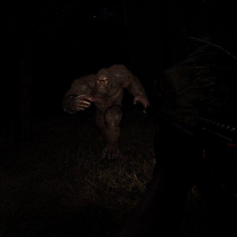 Bigfoot Hunting: Lov na legendu v temných lesích přežívá i přes technické nedostatky