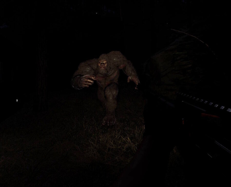 Bigfoot Hunting: Lov na legendu v temných lesích přežívá i přes technické nedostatky bf