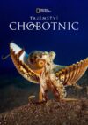Tajemství chobotnic chobotnice