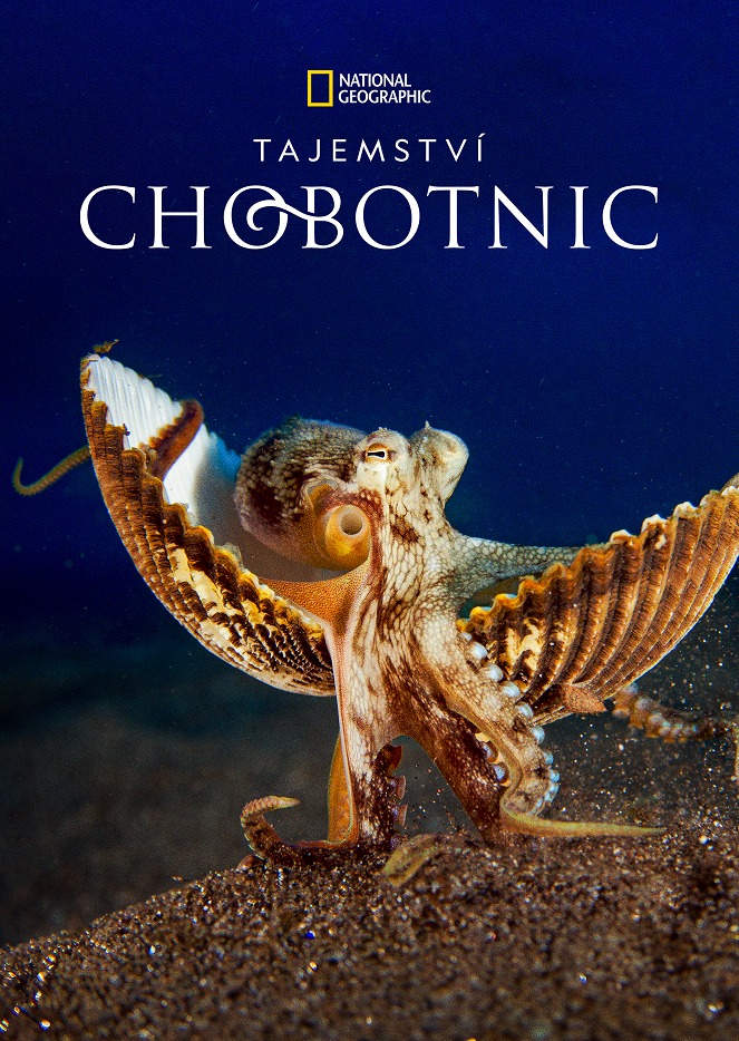 Tajemství chobotnic chobotnice