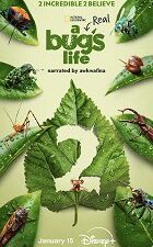 SKUTEČNÝ ŽIVOT BROUKA - SÉRIE 2