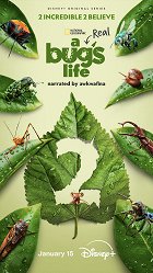 SKUTEČNÝ ŽIVOT BROUKA - SÉRIE 2