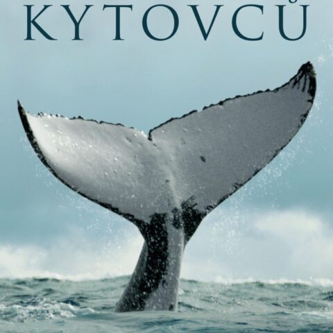 TAJEMSTVÍ KYTOVCŮ