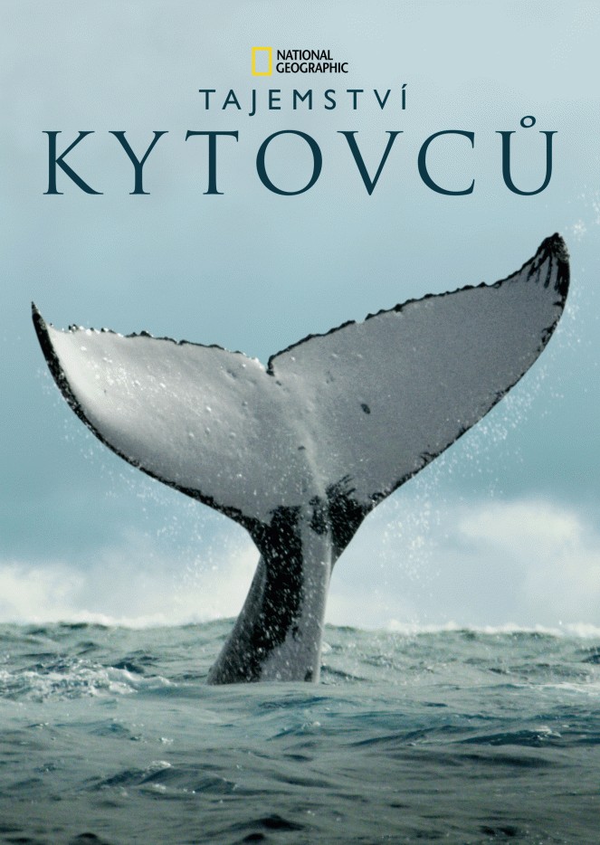 TAJEMSTVÍ KYTOVCŮ 170364350 kvwvh5(1)