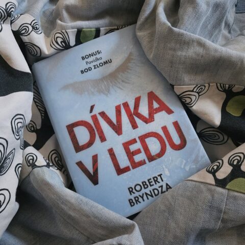 DÍVKA V LEDU