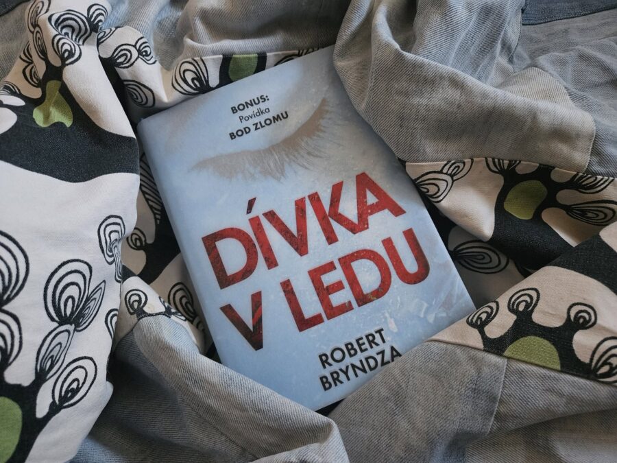 DÍVKA V LEDU Dívkavledu