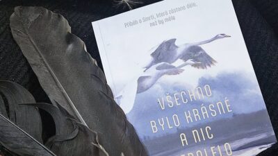 VŠECHNO BYLO KRÁSNÉ A NIC NEBOLELO