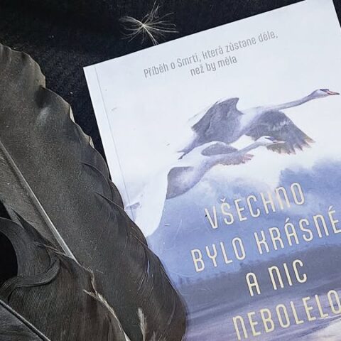 VŠECHNO BYLO KRÁSNÉ A NIC NEBOLELO