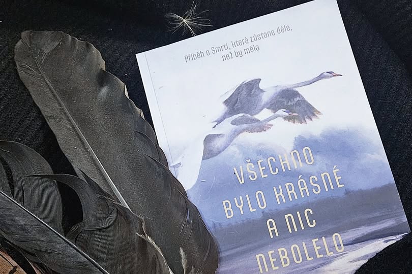 VŠECHNO BYLO KRÁSNÉ A NIC NEBOLELO smrtak