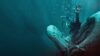 Velrybí pád - Survival thriller z útrob velryby (Recenze) WHALEFALL MOVIE